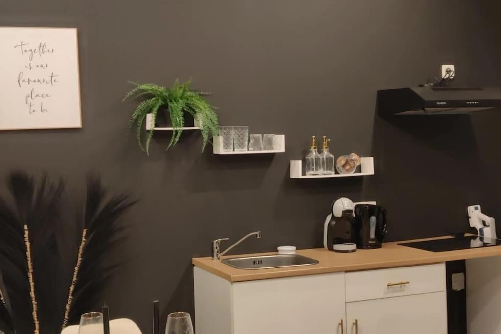Logement Romantique Et Cosy Charleroi Dış mekan fotoğraf